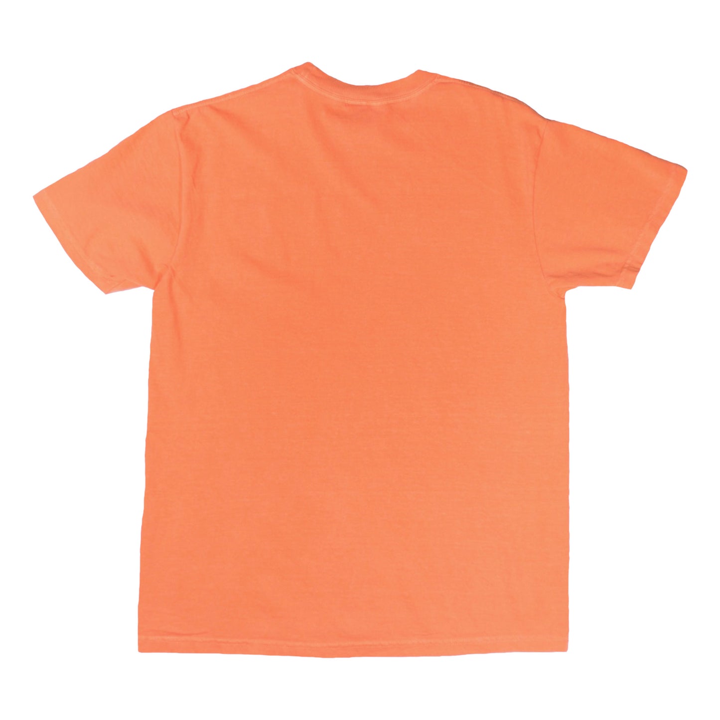 BH Palmetto Tee - Vintage Orange